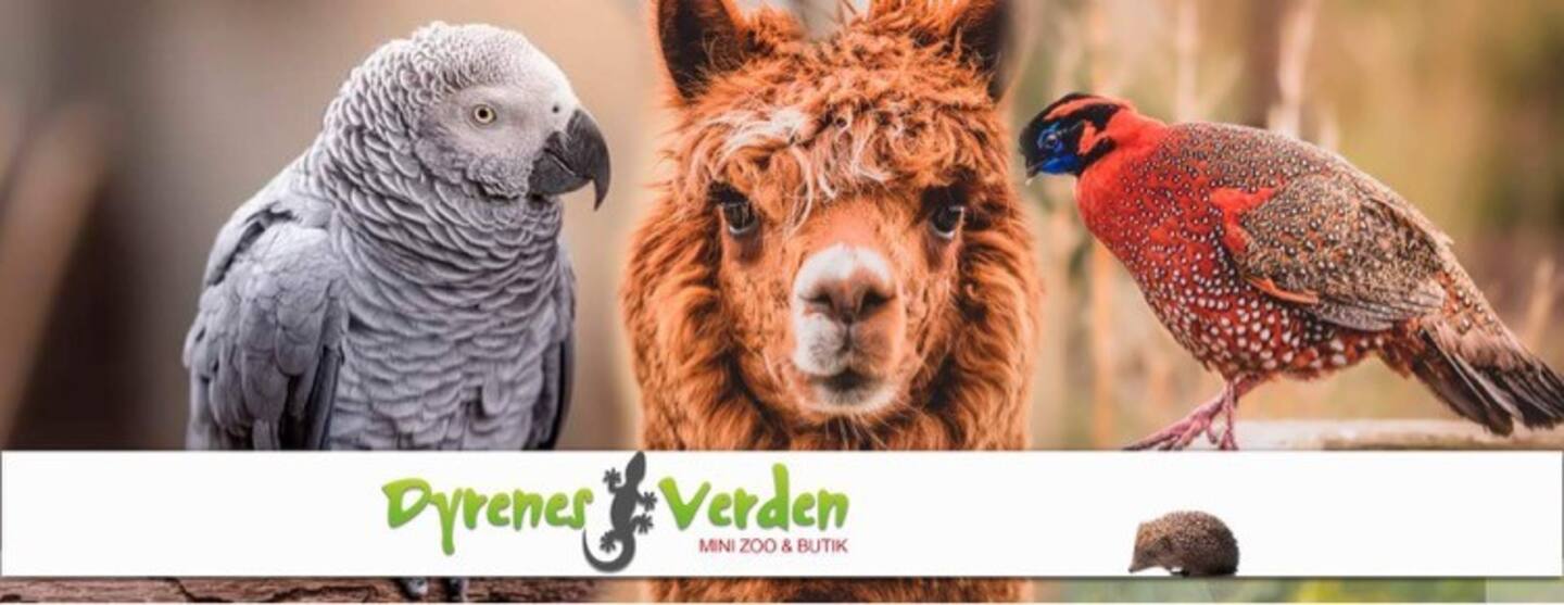 dyrenes verden zoo